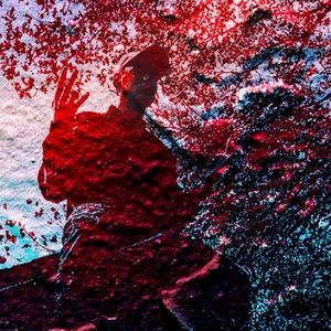 Meet your Posher, Waylon